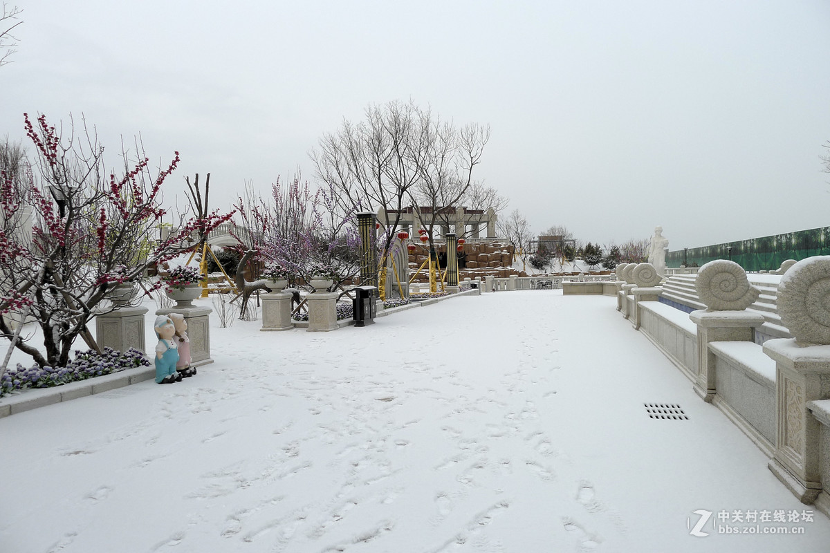 怀来雪景