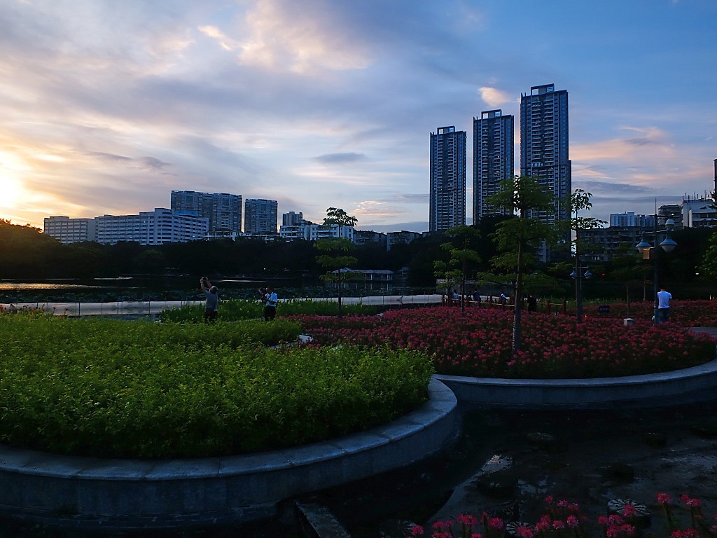 傍 晚 景 色 （十一）