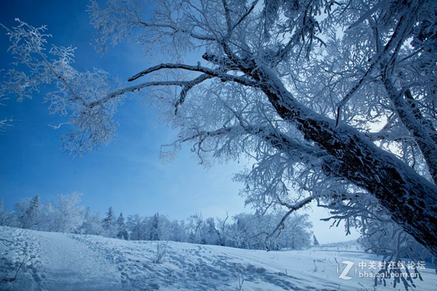 夏日里的那一抹清凉
