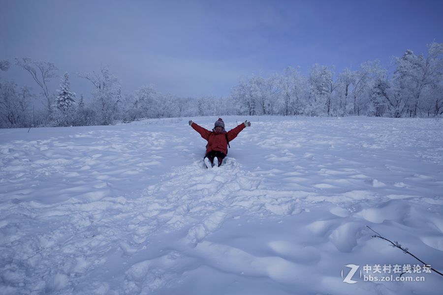 夏日里的那一抹清凉