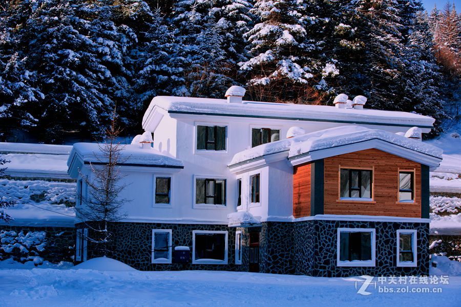 夏日里的那一抹清凉