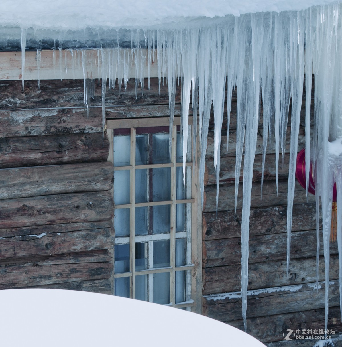 夏日里的那一抹清凉