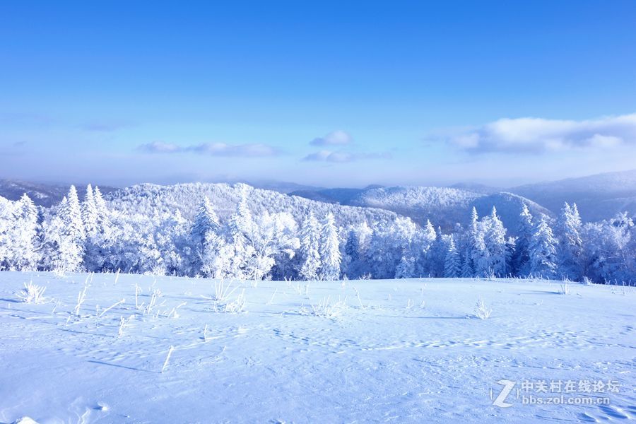 夏日里的那一抹清凉