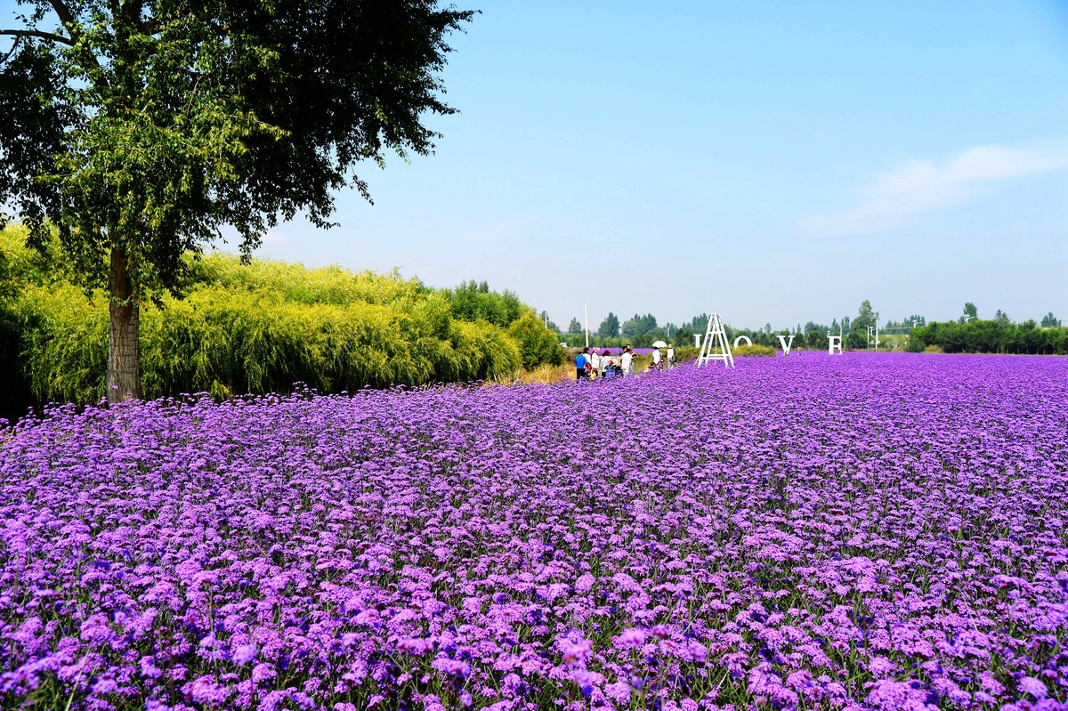 永登越国山庄游记
