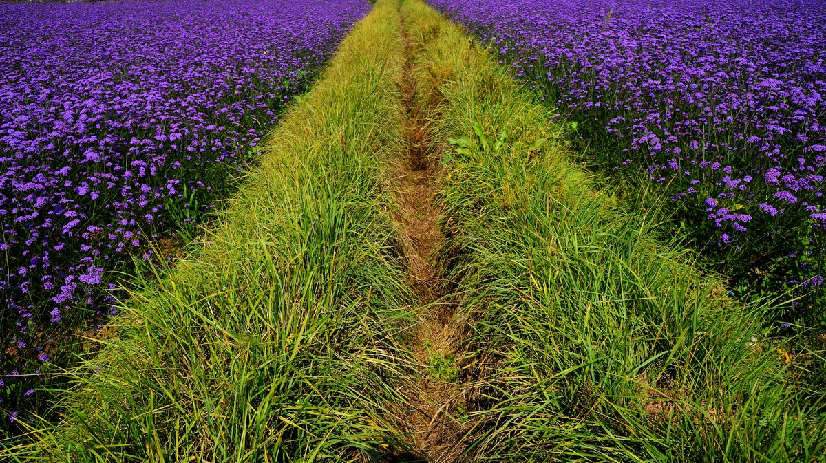 永登越国山庄游记