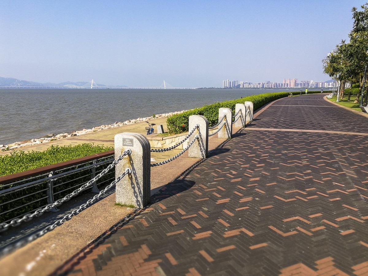 深圳红树湾公园掠影