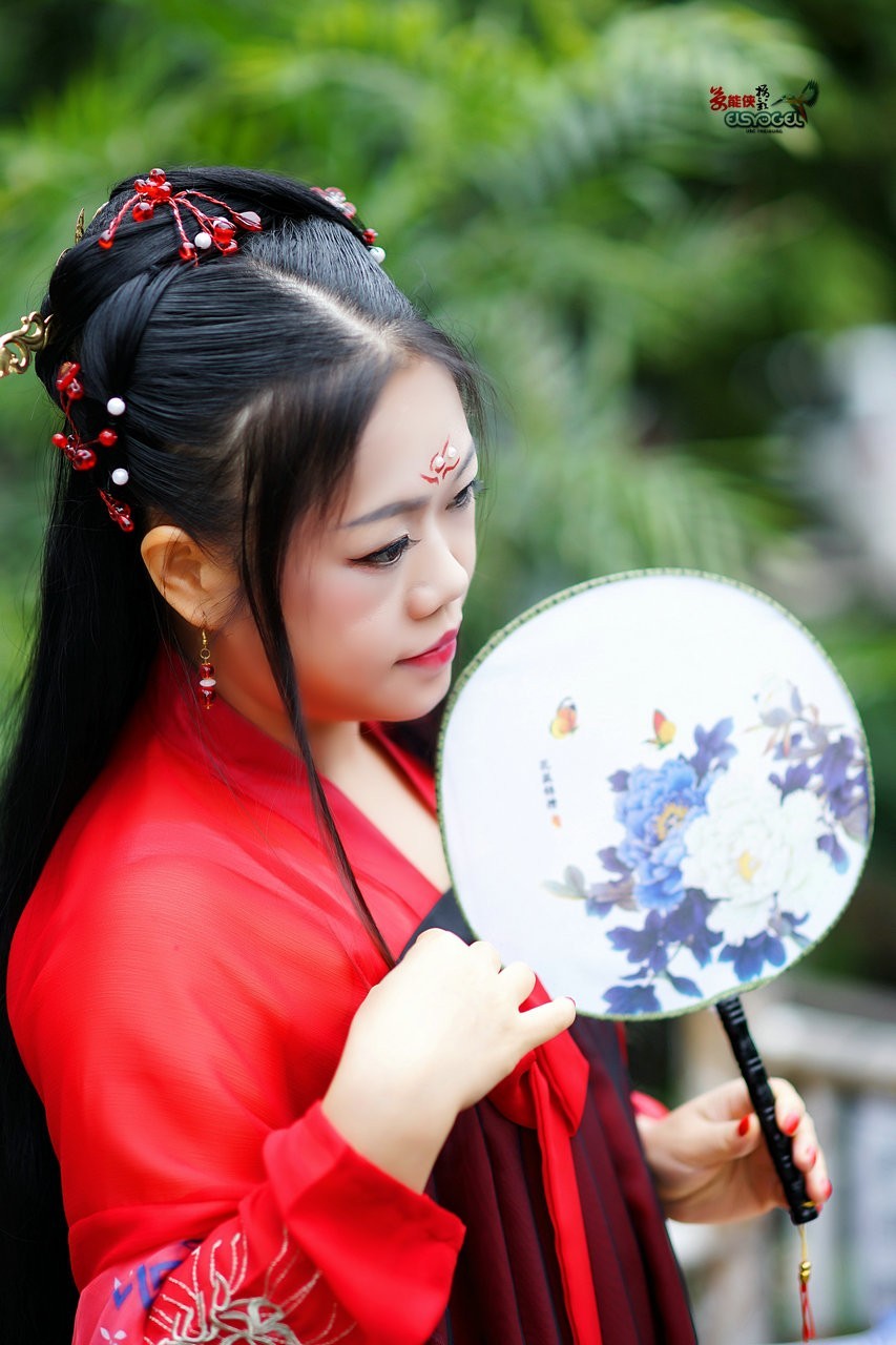 古风琵琶红娘冬冬