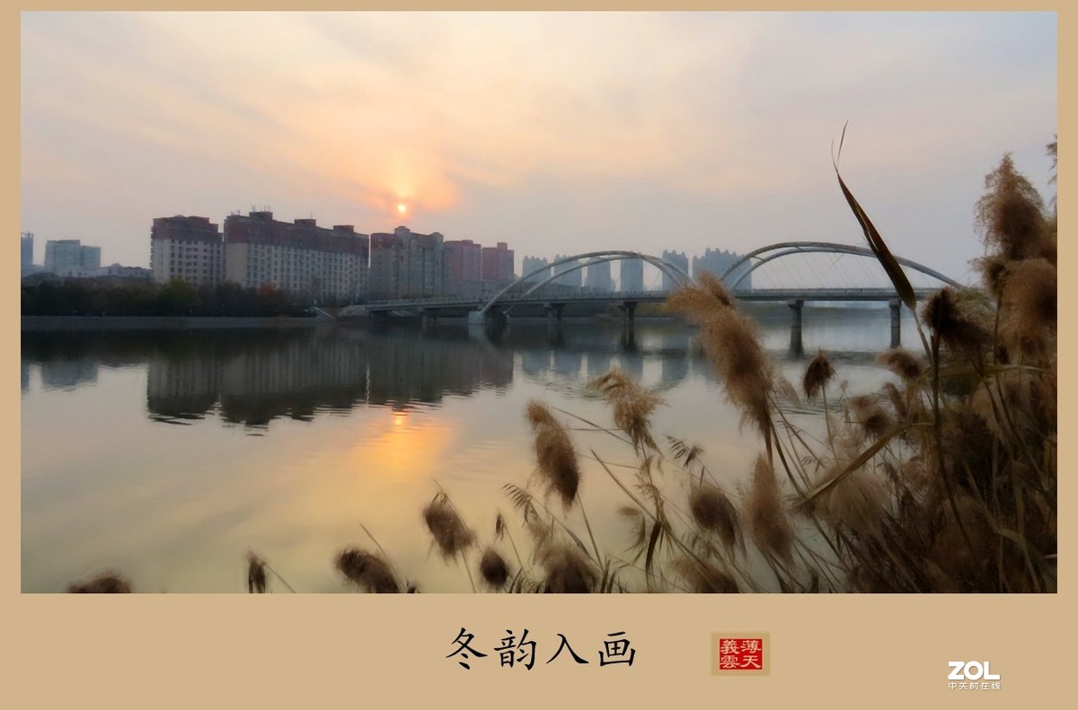 #回顾2019#----岁末冬韵