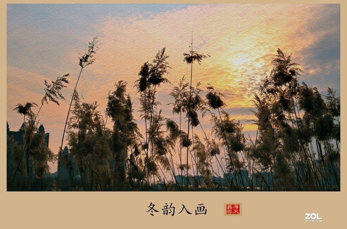 #回顾2019#----岁末冬韵