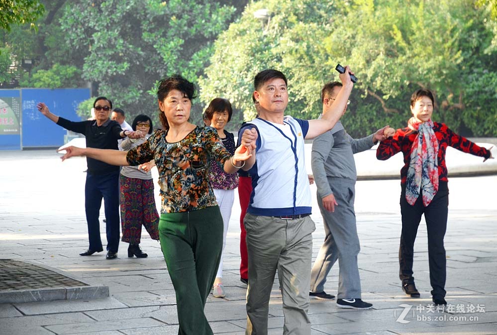 来上几片