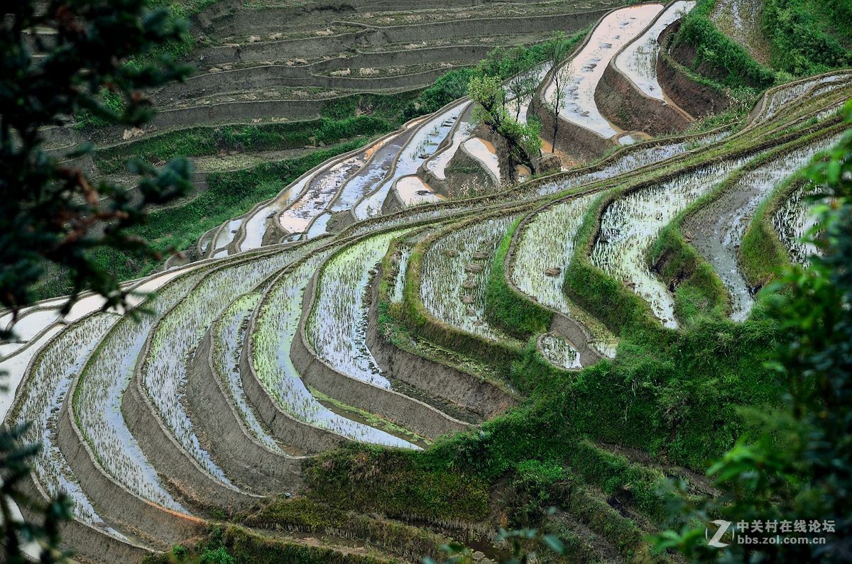 七彩云南风光《十一》红河梯田