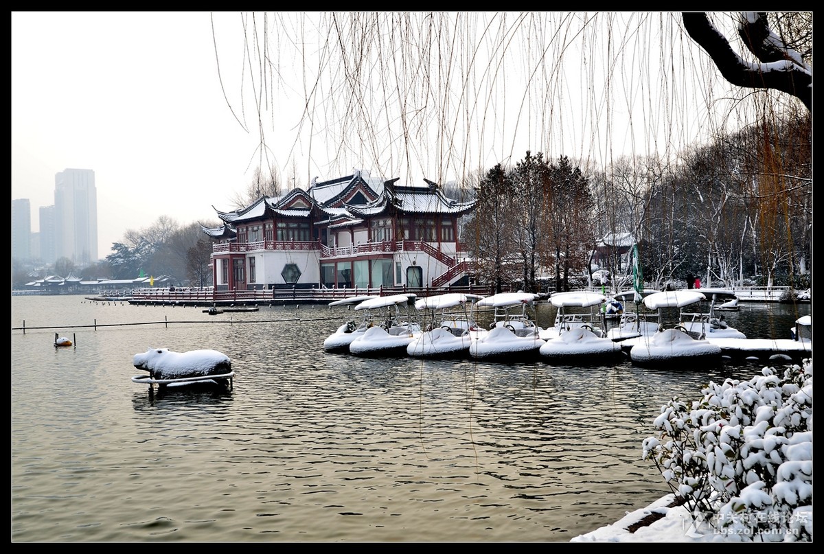 雪后莫愁湖二