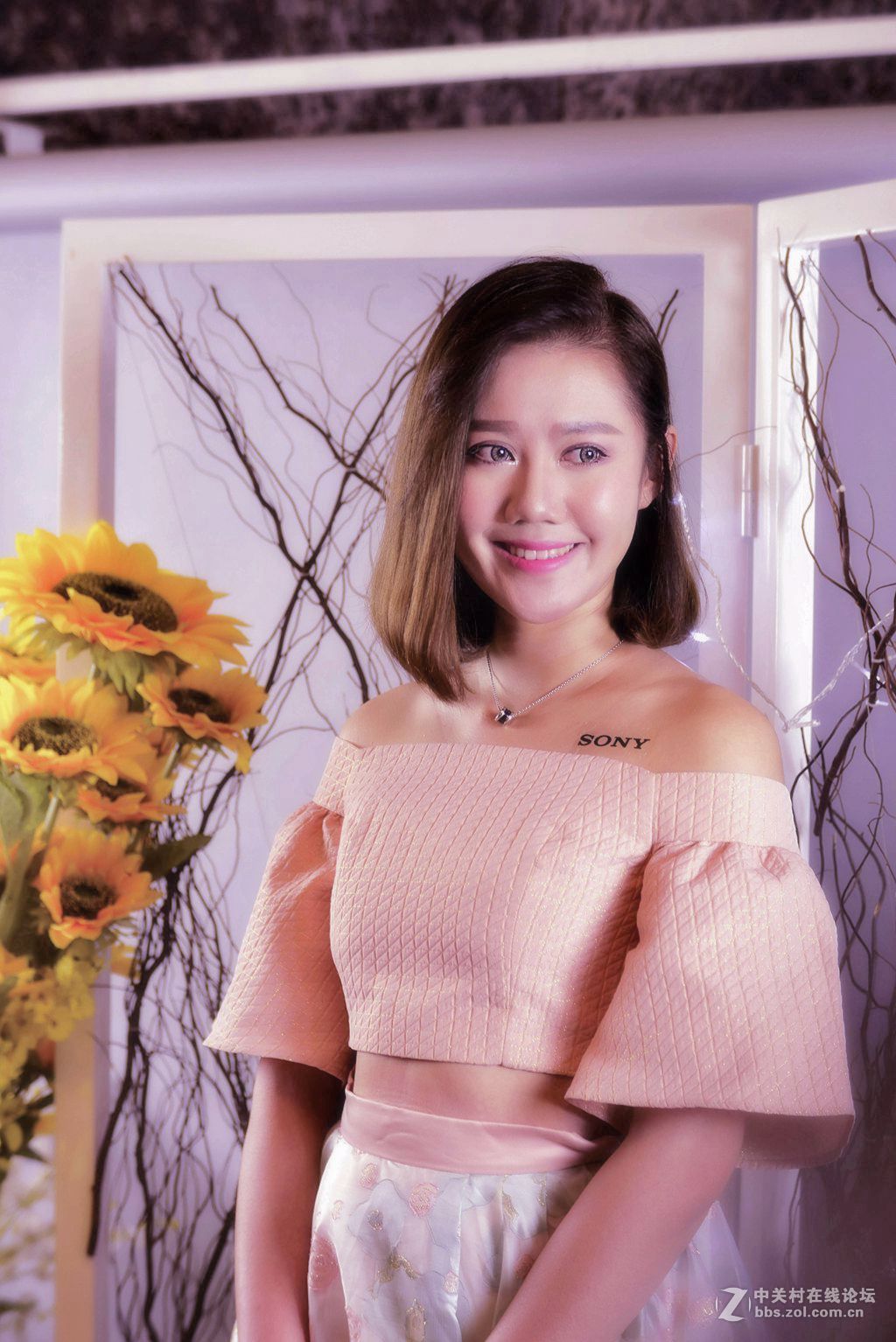 威慑力索尼推介会随拍