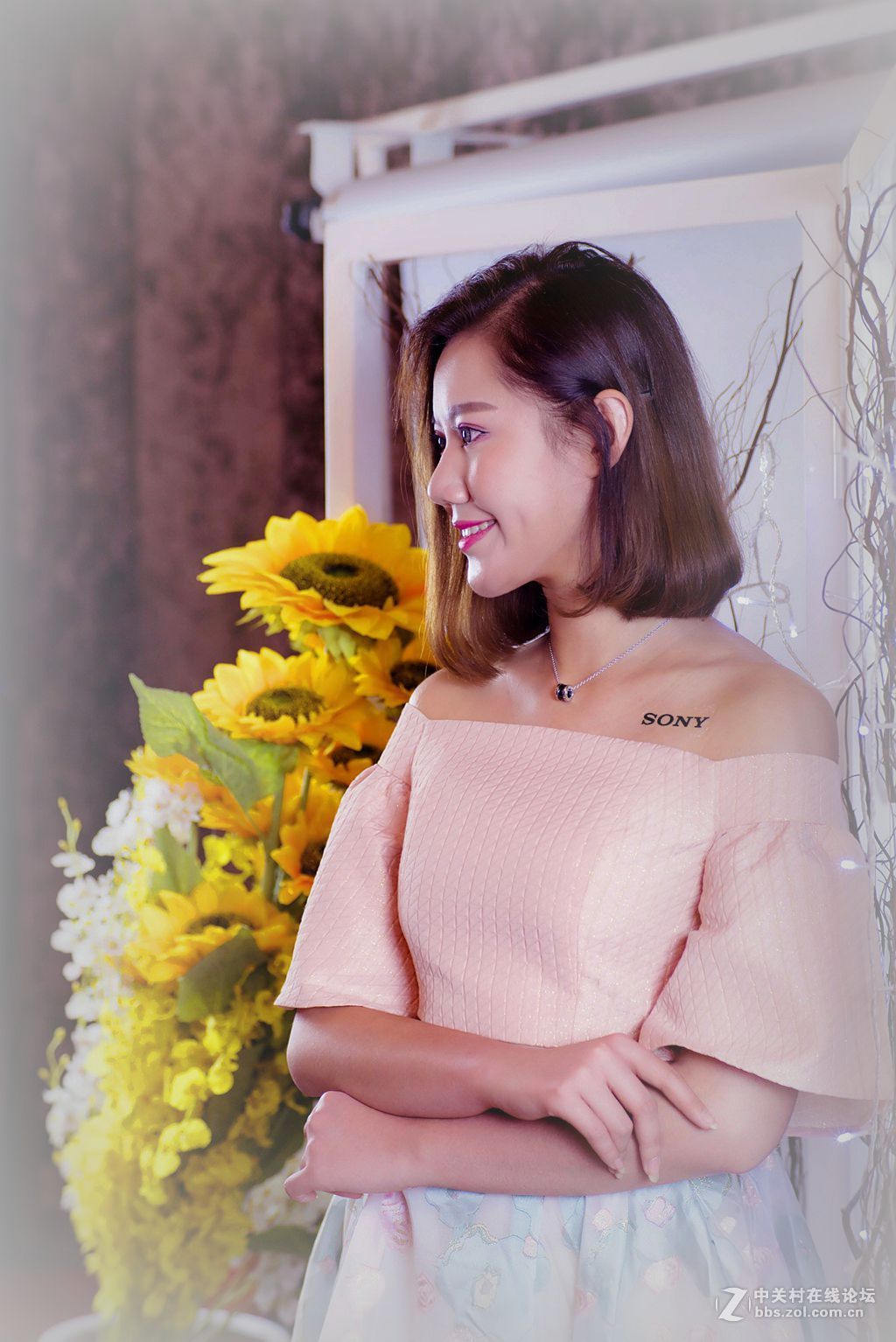 威慑力索尼推介会随拍