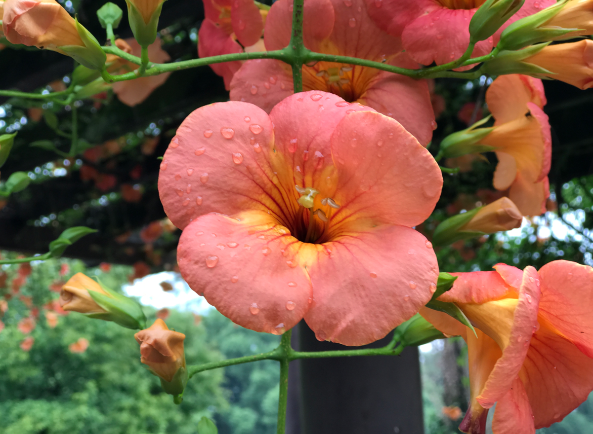 必看，带着酷乐视去东京。