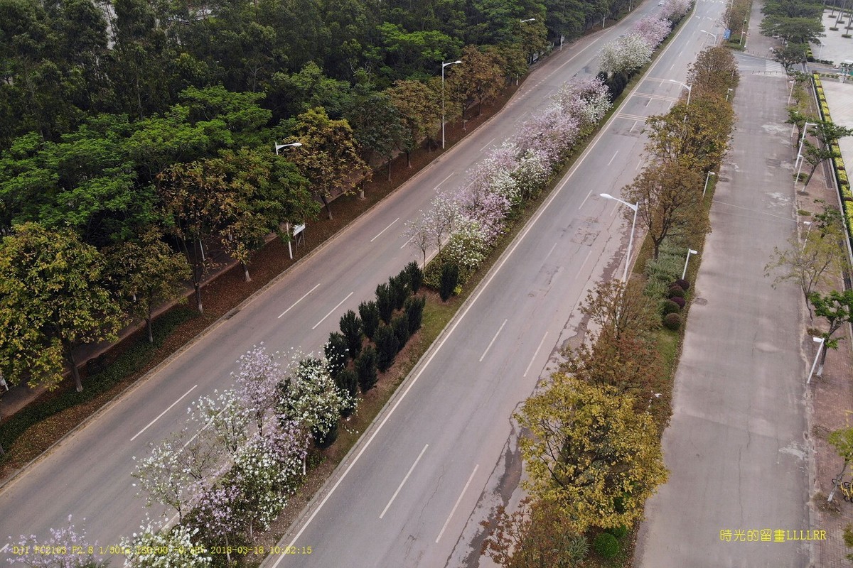 花之路廣州大學城航拍