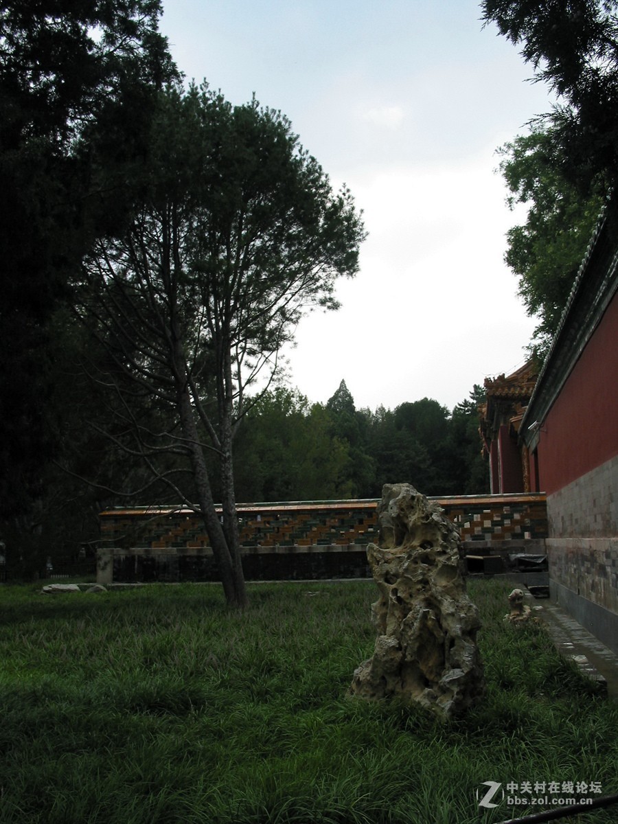 #佳能迷你微单EOS M50-盛夏交流会#北海公园外拍