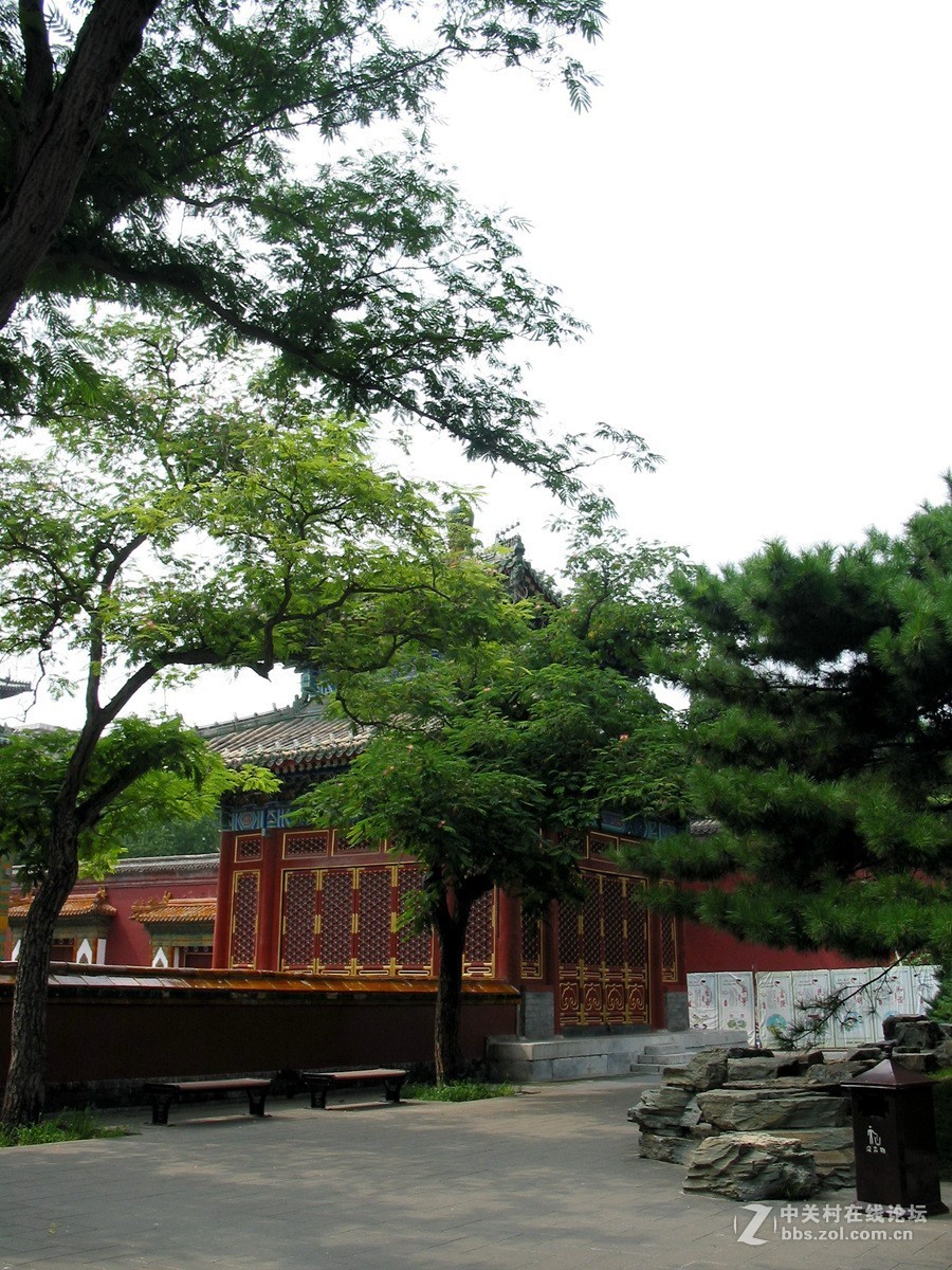 #佳能迷你微单EOS M50-盛夏交流会#北海公园外拍