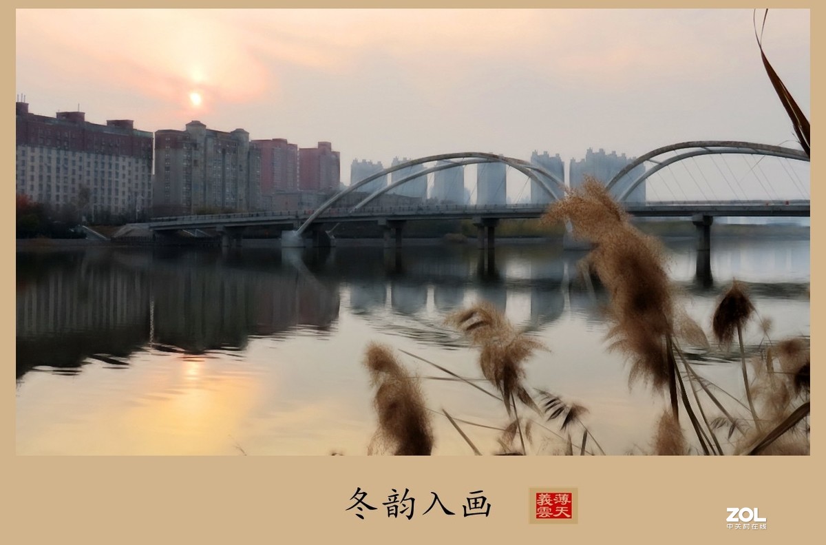 #回顾2019#----岁末冬韵