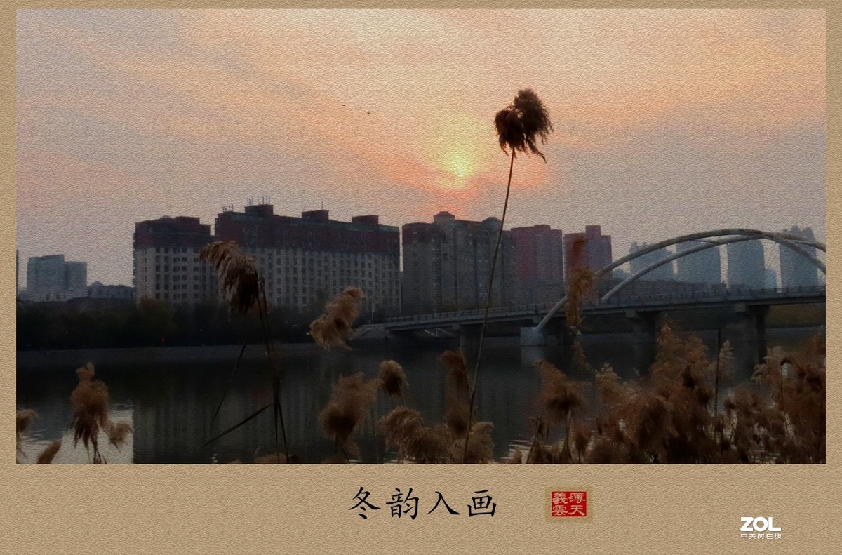 #回顾2019#----岁末冬韵