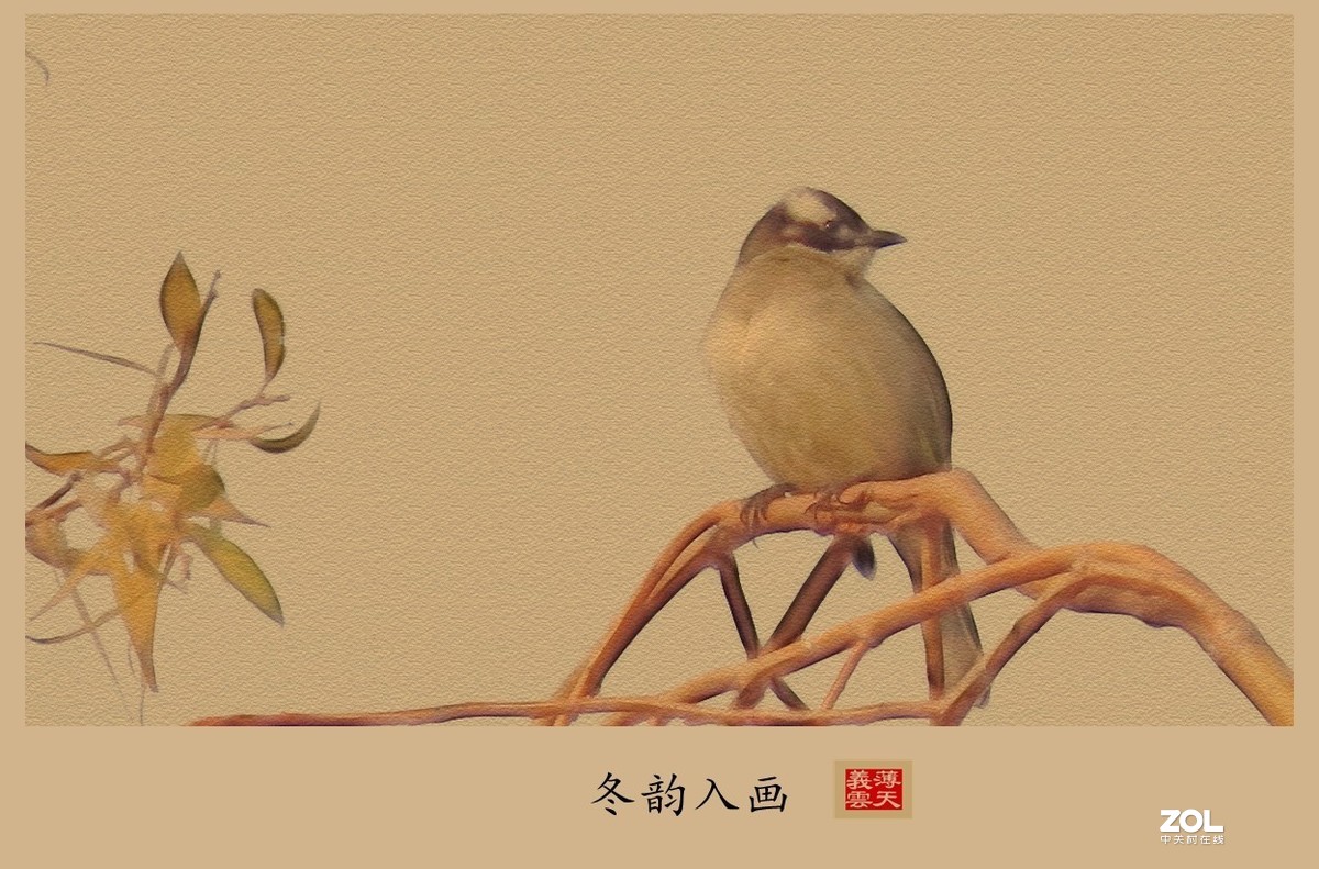 #回顾2019#----岁末冬韵