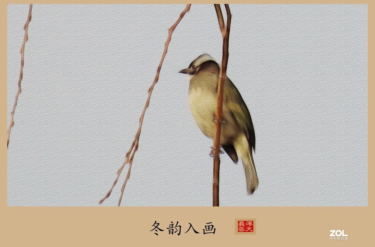 #回顾2019#----岁末冬韵