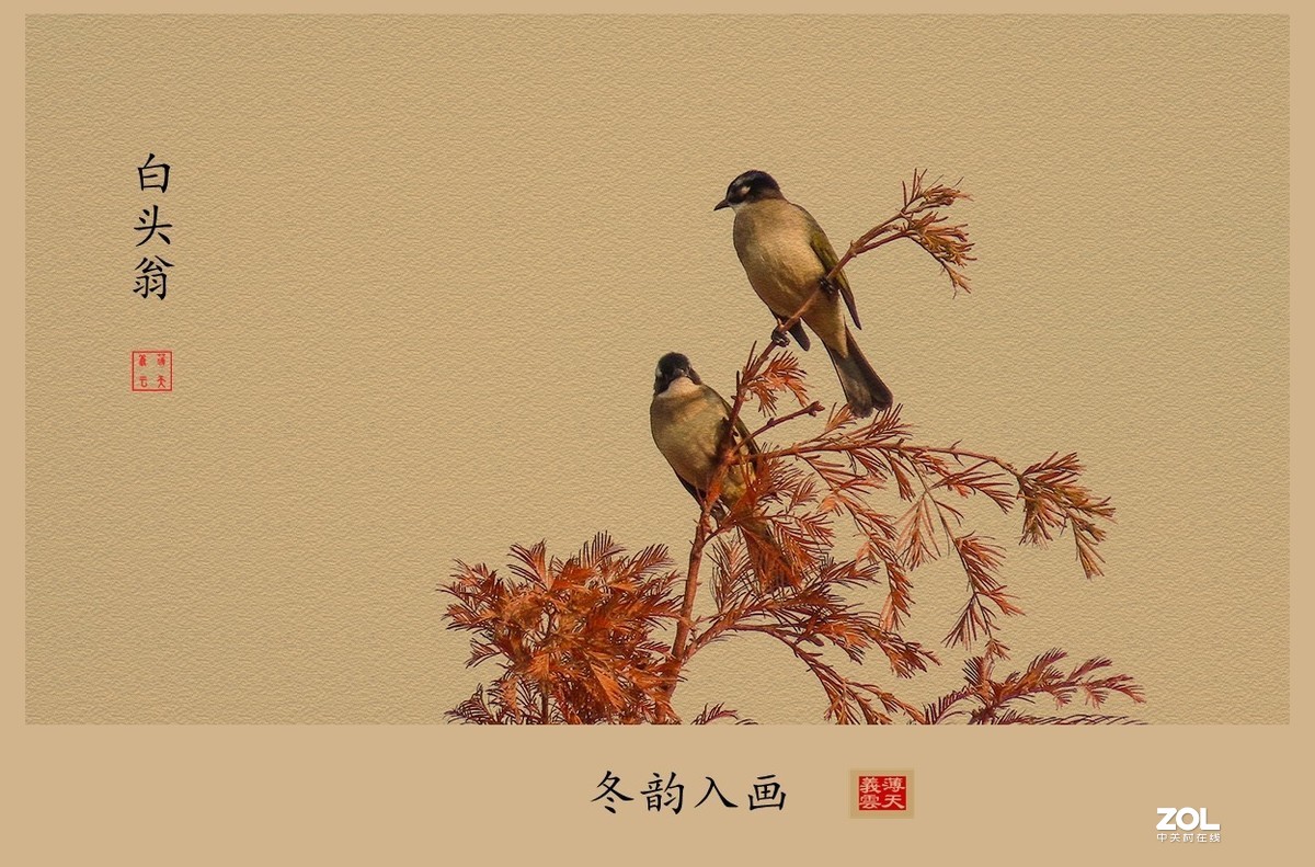 #回顾2019#----岁末冬韵