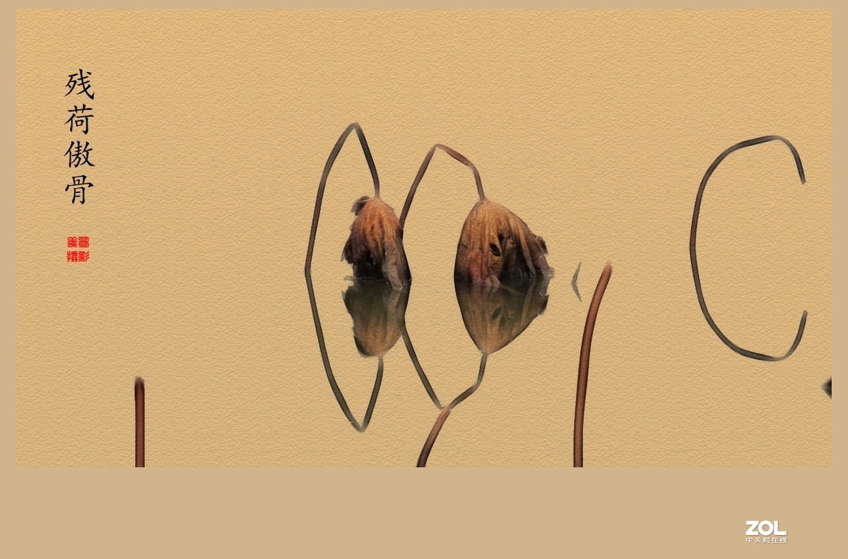 #回顾2019#----岁末冬韵