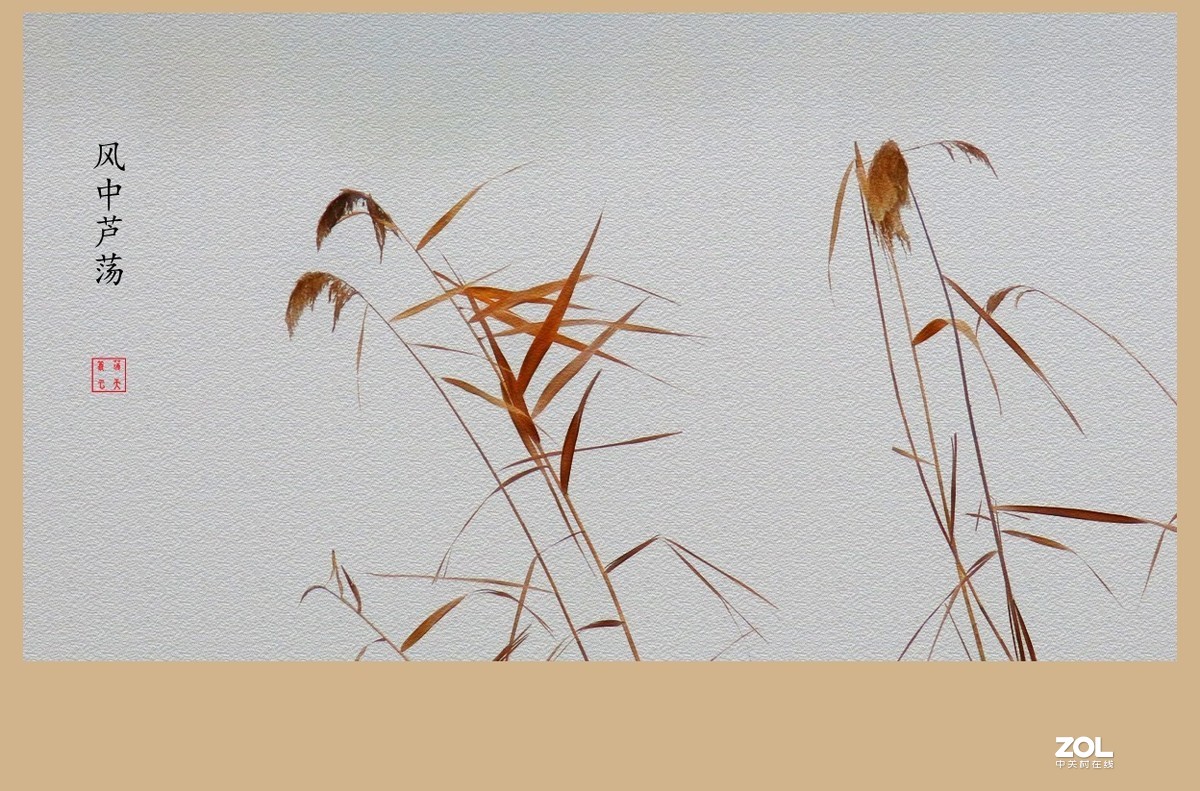 #回顾2019#----岁末冬韵