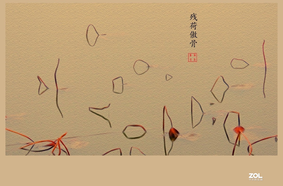 #回顾2019#----岁末冬韵