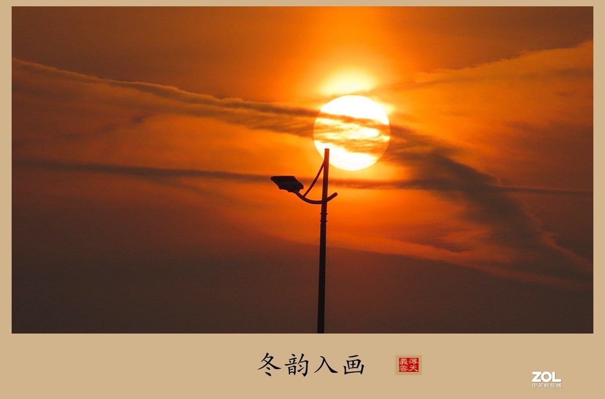 #回顾2019#----岁末冬韵