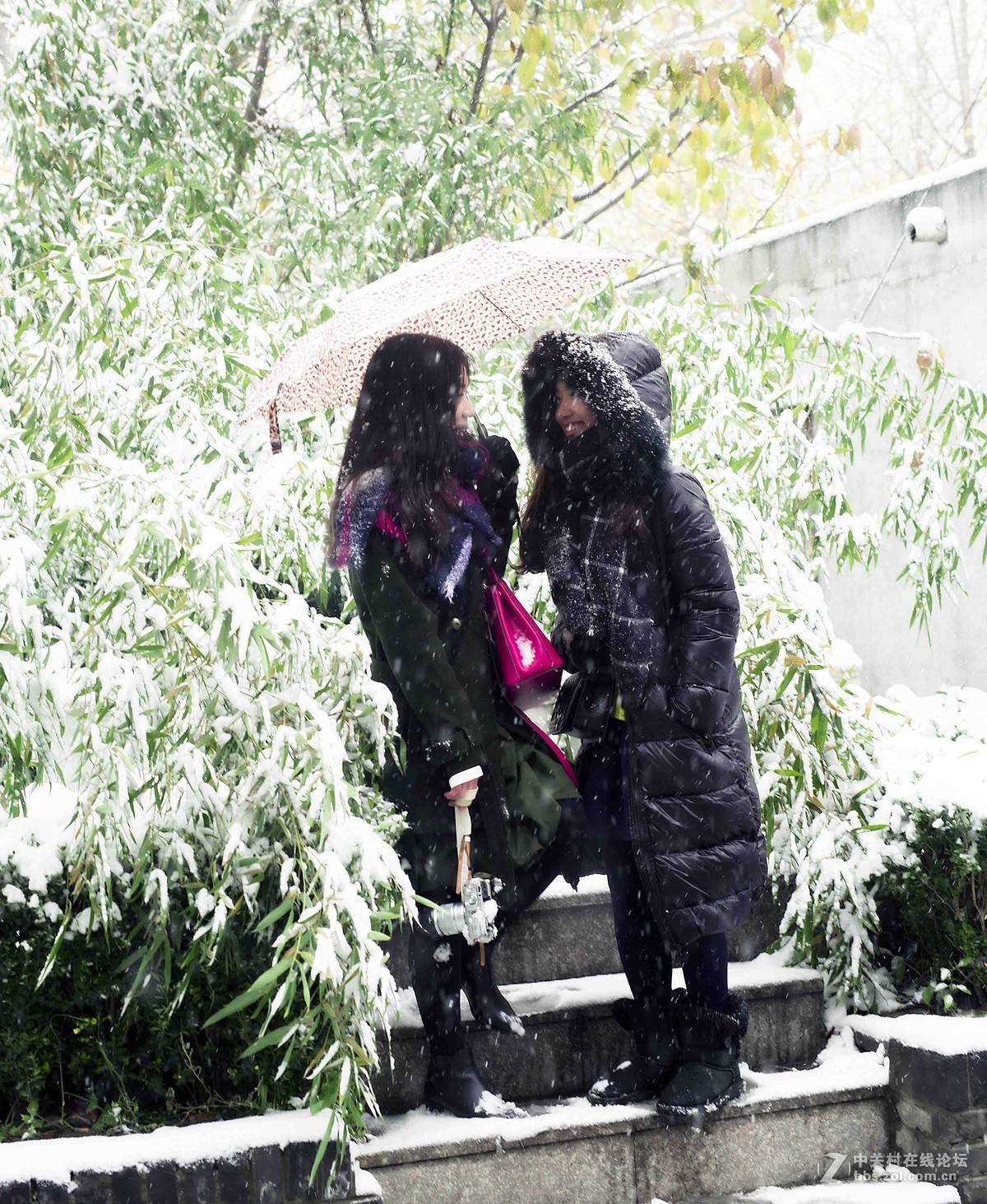 再加一把火——悄悄话儿