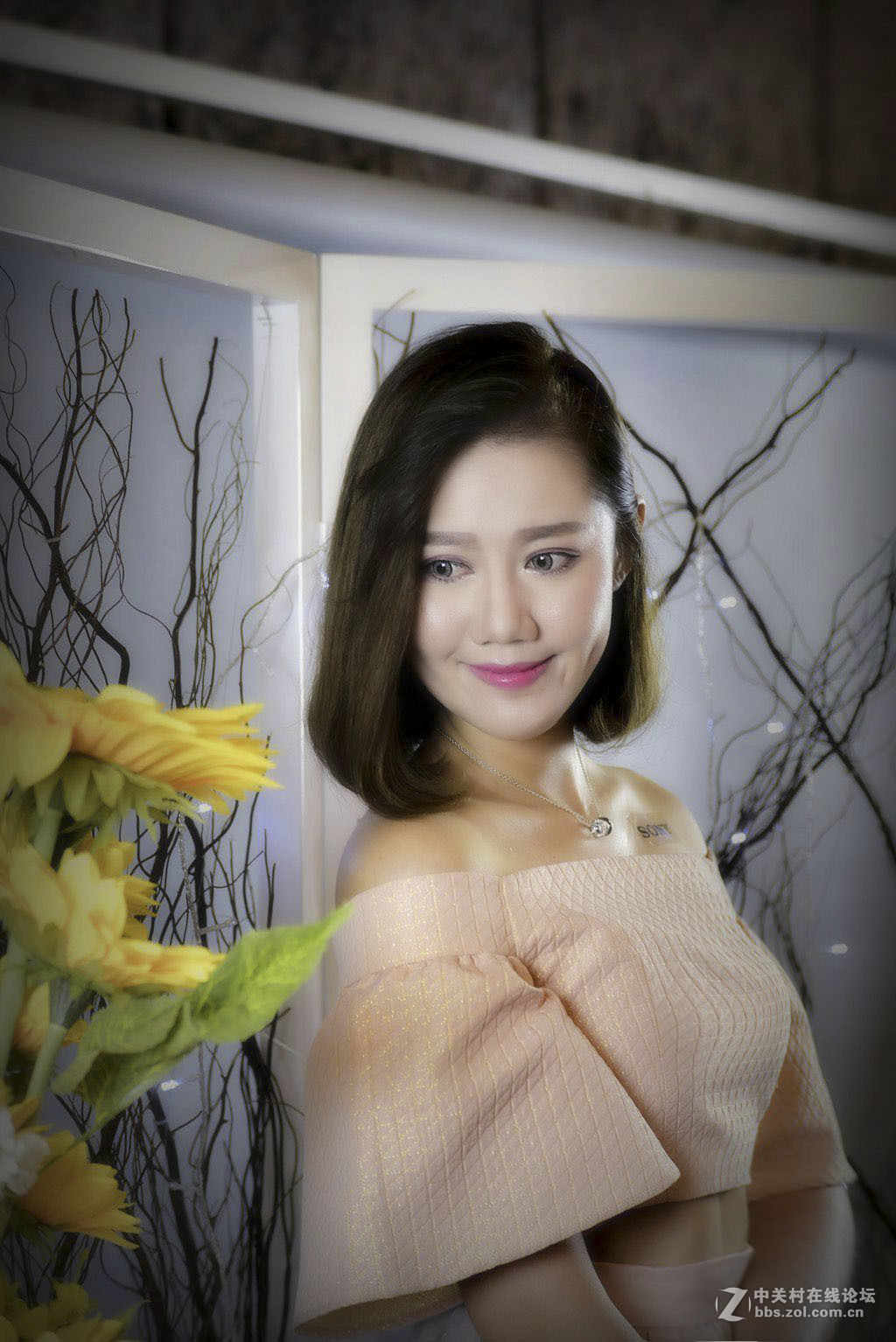 威慑力索尼推介会随拍