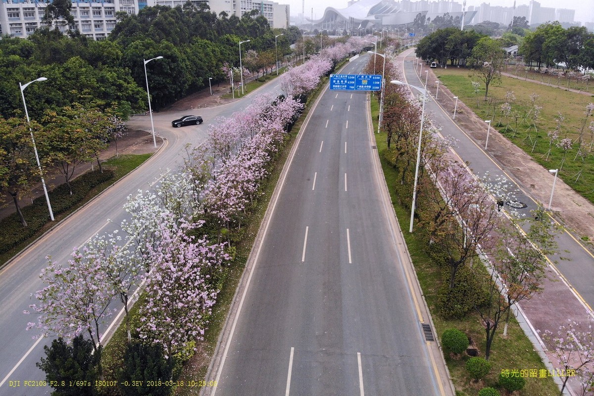花之路广州大学城航拍