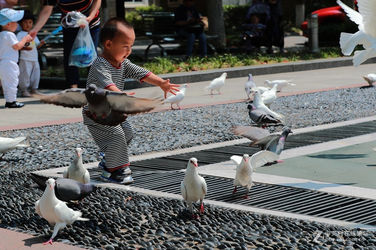 随拍