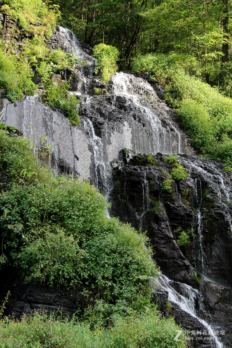 长白山（南坡）游拍——望天鹅景区之飞流瀑布