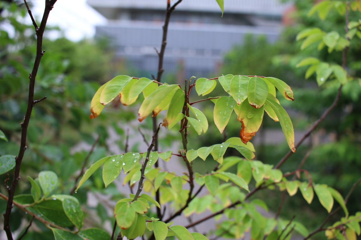 70D套机+24mm饼干试机样片