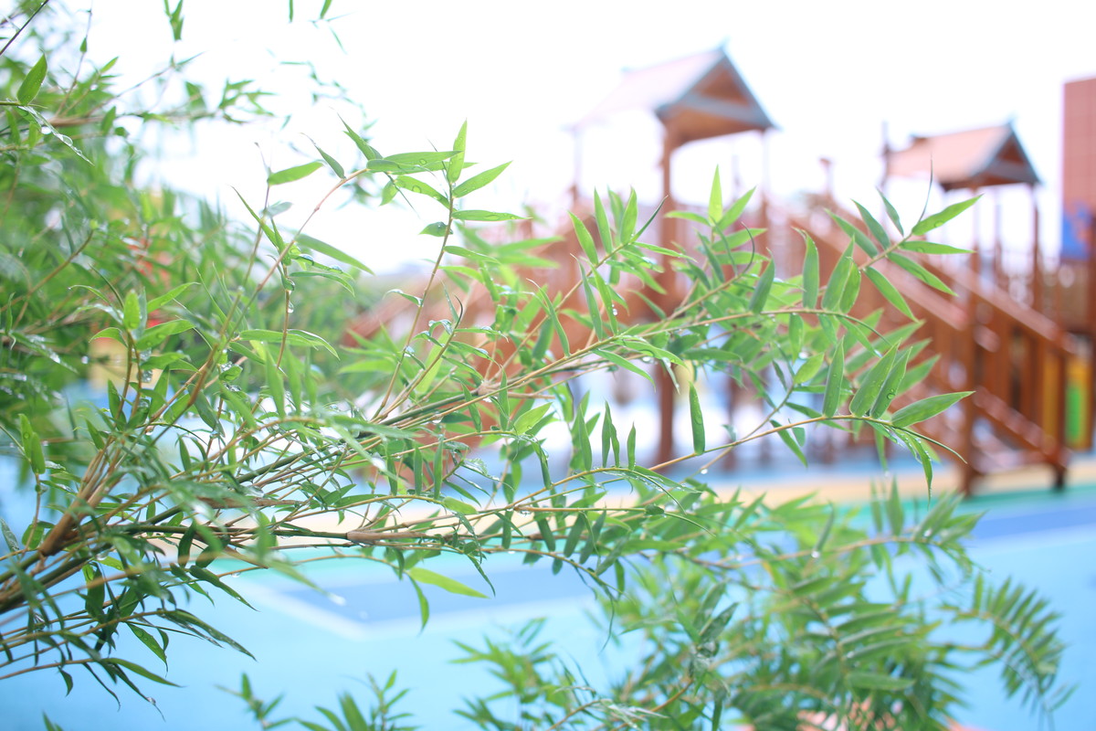 70D套机+24mm饼干试机样片