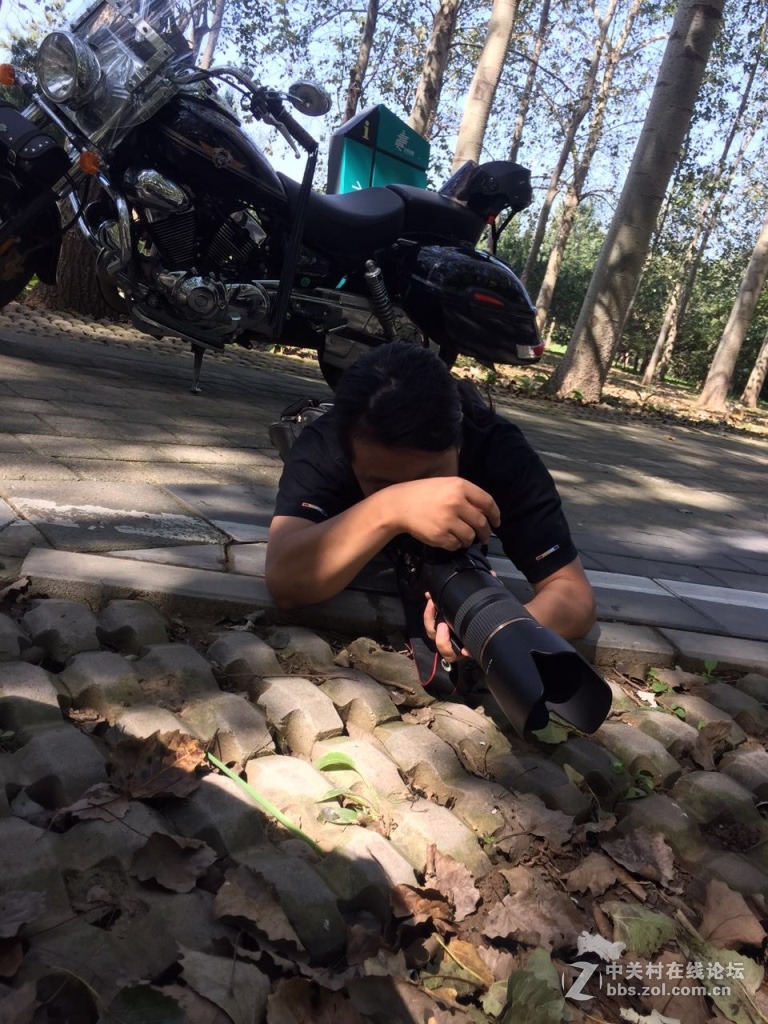 采蘑菇的老爷们儿