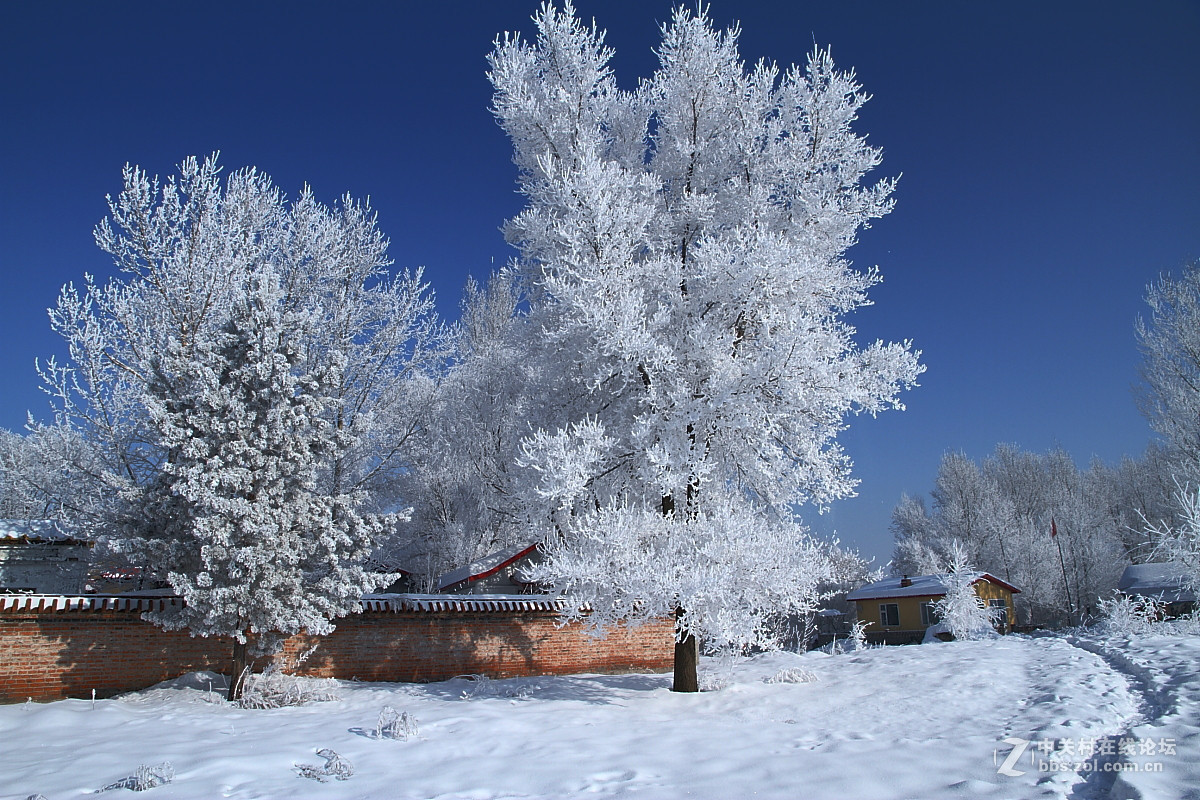 我愛你塞北的雪我愛你中國雪城牡丹江