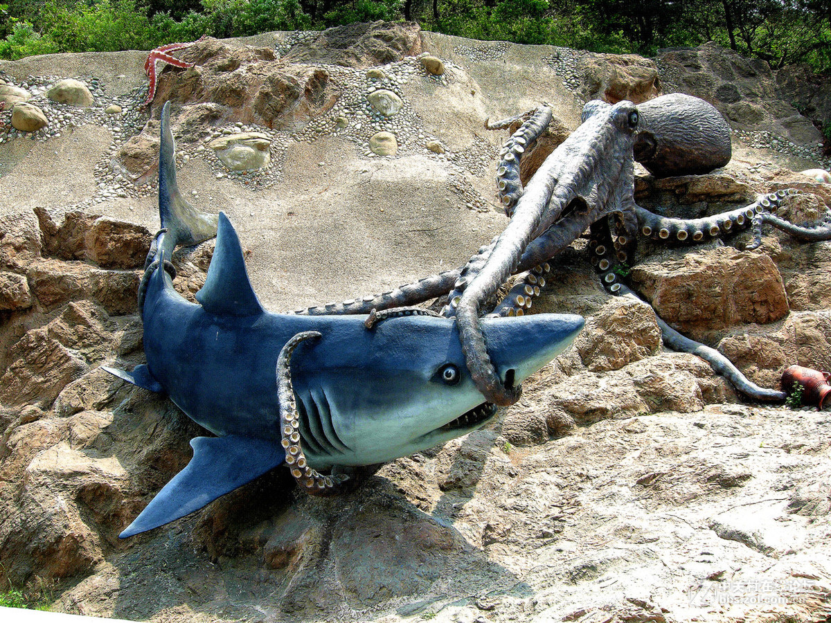 大连滨海路北段的“海底大峡谷”