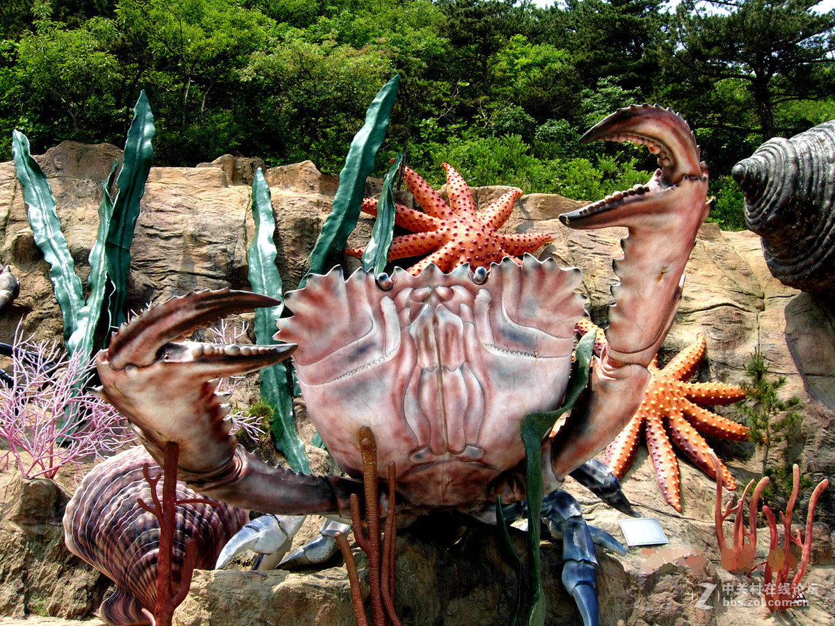 大连滨海路北段的“海底大峡谷”