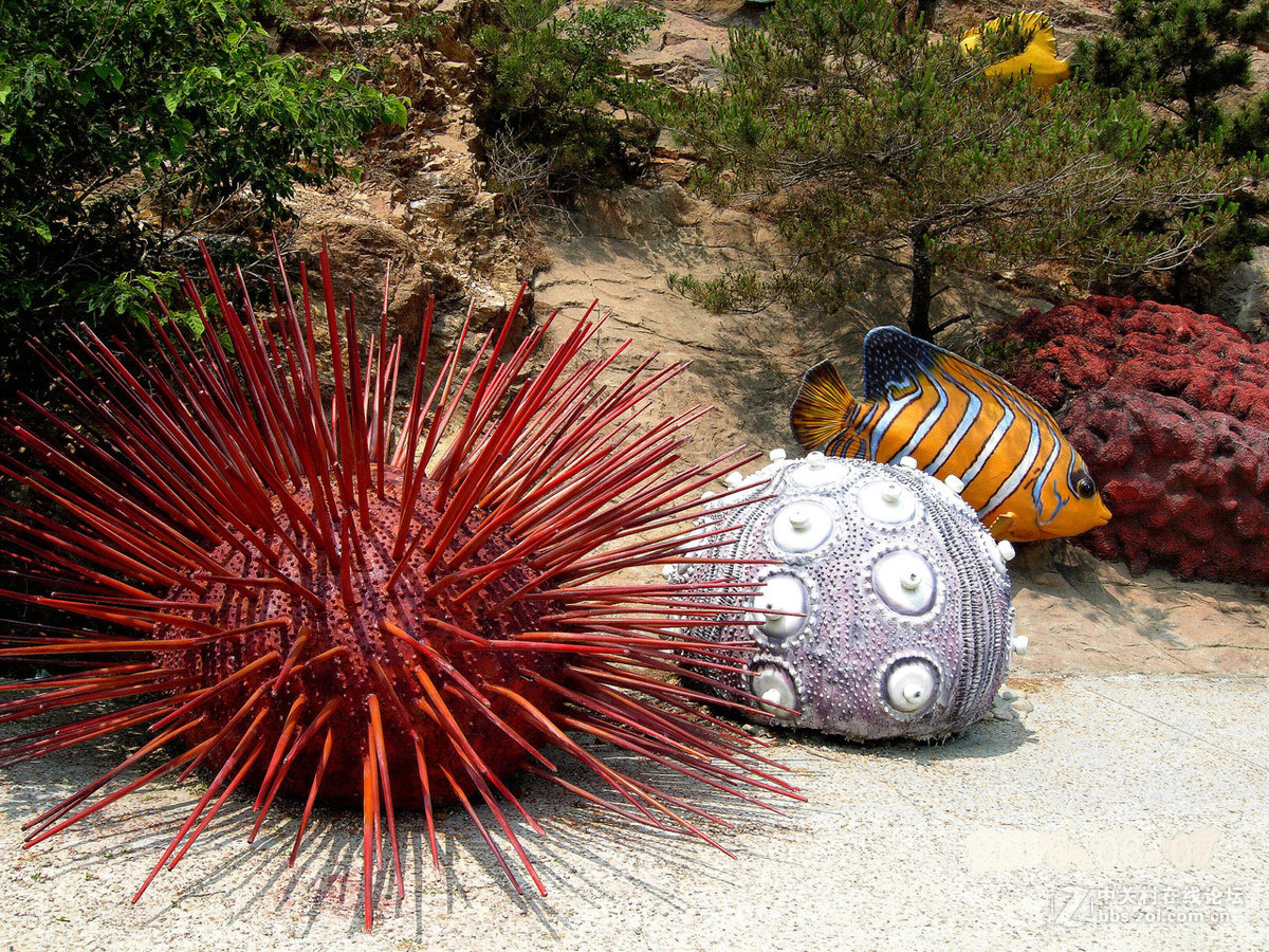 大连滨海路北段的“海底大峡谷”