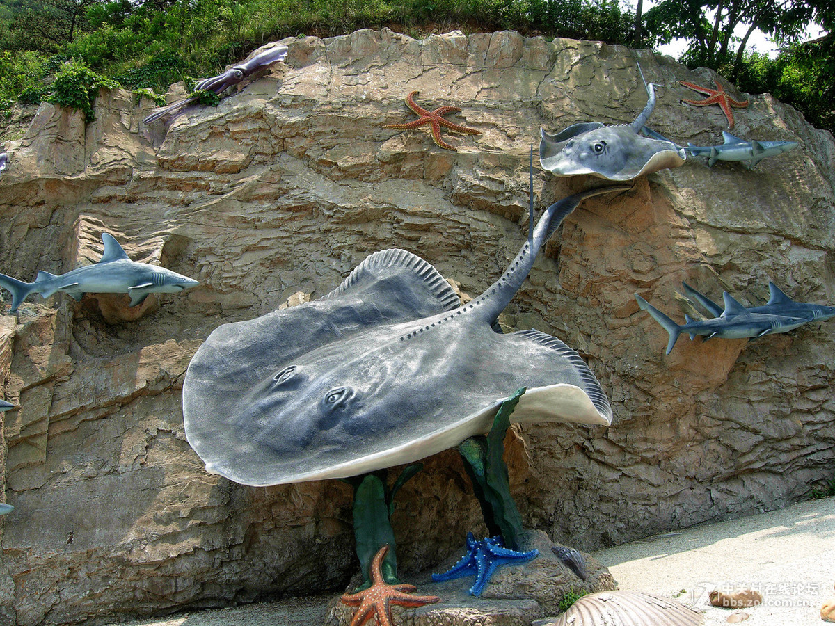 大连滨海路北段的“海底大峡谷”