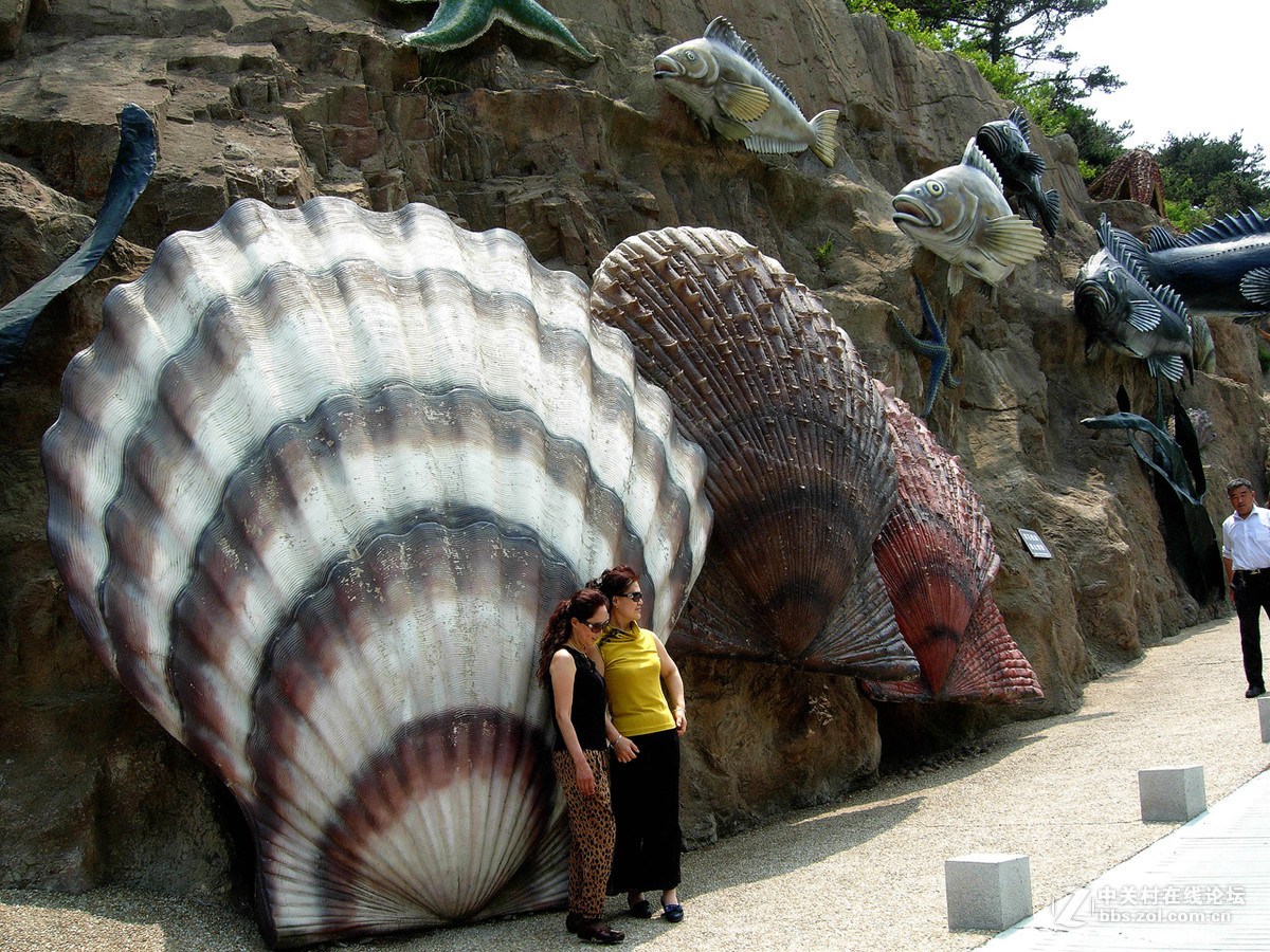 大连滨海路北段的“海底大峡谷”
