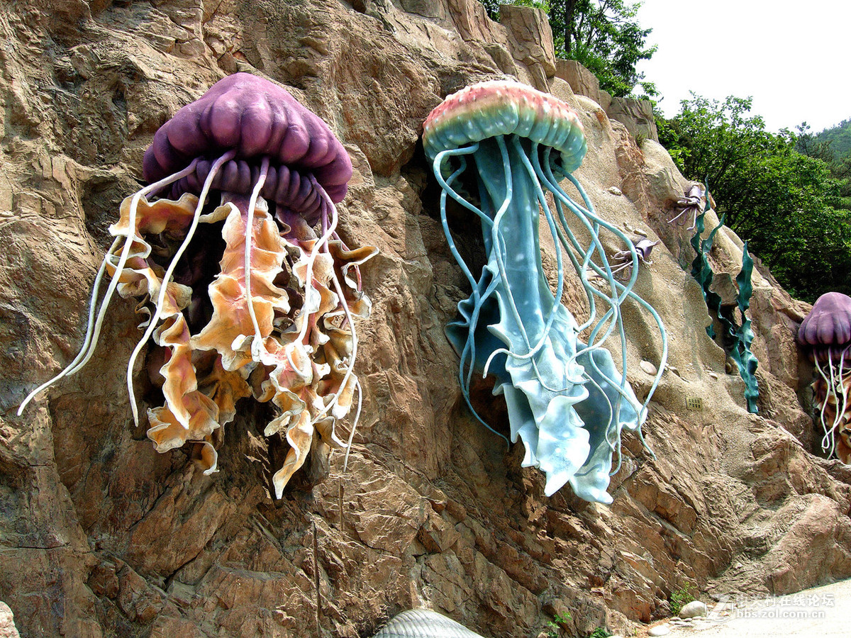 大连滨海路北段的“海底大峡谷”