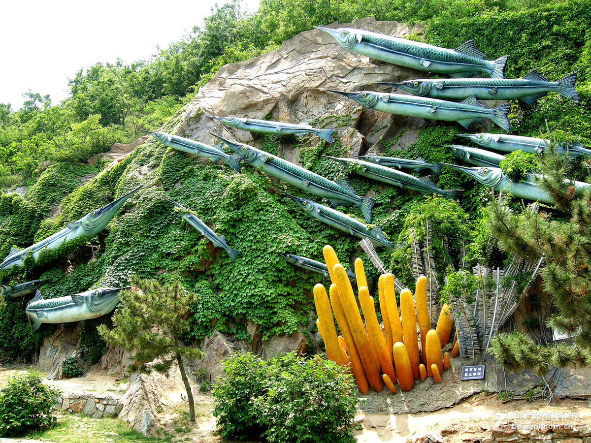 大连滨海路北段的“海底大峡谷”