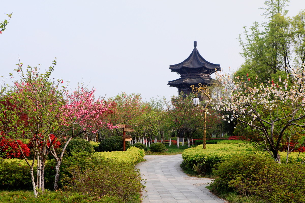 泰州行鳳城河風景區三泰州桃園