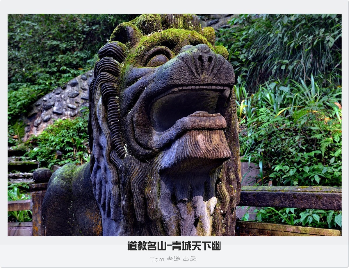 【旅游图片】道教名山-青城天下幽（共51张）-中关村在线摄影论坛
