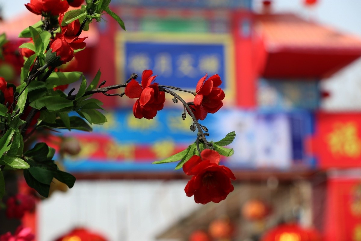 河北农村过年采风